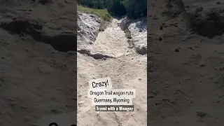 Crazy Deep Oregon Trail Wagon Ruts! // Guernsey, Wyoming