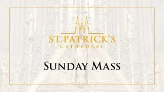 Sunday Mass - November 8th 2020