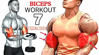 7 Different Exercises Biceps to Get Wider Biceps