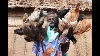 Country Chicken Gravy prepared by my DADDY ARUMUGAM / Village food factory