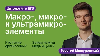 2.10. Макро-, микро- и ультрамикроэлементы | Цитология к ЕГЭ | Георгий Мишуровский