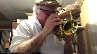 Fast Bebop Blues on the Pocket Trumpet