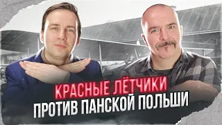 Красные лётчики против панской Польши: авиация советско-польской войны 1920 г.