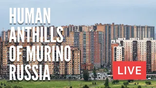 Human Anthills of MURINO, North of St Petersburg, Russia. LIVE