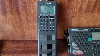 Sound Comparison TECSUN PL 368, TECSUN PL 330, TECSUN PL 990Х, TECSUN H 501X