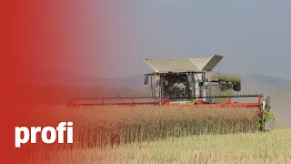 Lexion 8700 w Milikowicach! Jak wypadł na tle poprzedników?