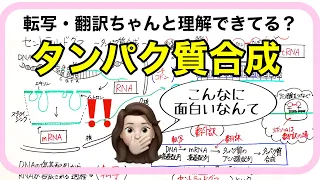 【生物基礎】転写・翻訳（セントラルドグマ）