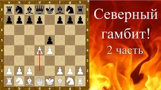 Шахматы дебюты. Северный гамбит! (2 часть)