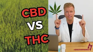 CBD vs THC - Wie hängt das eigentlich zusammen?