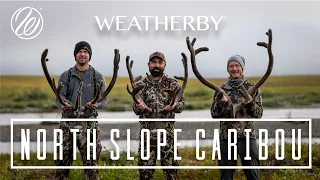 Weatherby North Slope Caribou Hunt: The Adventure of a Lifetime