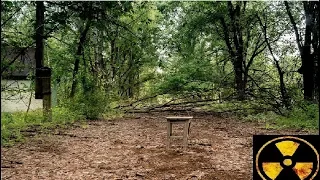 Заброшенное Село Чернобыльской Зоны Отчуждения...   The abandoned village of the CEZ...