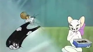 tom and jerry casanova cat part 3