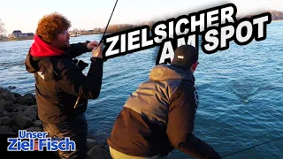 Der SPOT im SPOT: ZANDER am FLUSS genau AUSGEANGELT - Unser Ziel ist Fisch - Die Angelschule