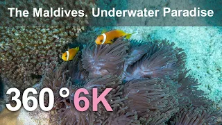The Maldives. Underwater Paradise. Relaxing 360 video in 8K.