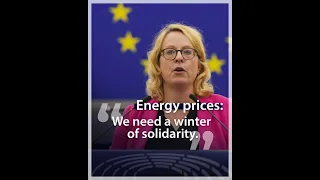 Parliament demands urgent action on rising energy prices