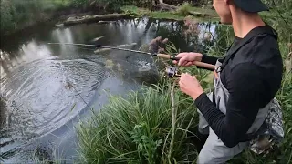 Püüame Eesti koondise jalgpalluriga jõekat!