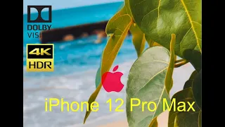 iPhone 12 Pro Max AMAZING video. HDR Dolby Vision 4K 24 fps 10 bit