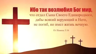 ВЫБОР СЫНА ❗ || стихи христианские 🕊️💕🔥