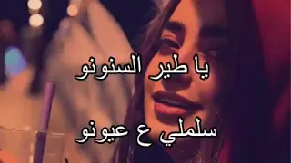 اغني ياطير سنونو ; معة الكلمات كامل /لمئ شريف 🤩✌🥰😍