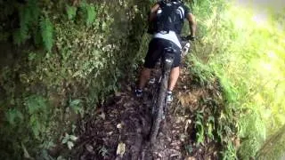 Birthday Ride_Brasso Seco Paria: Mountain Biking In Trinidad