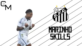 Marinho - Skills & Goals / Santos