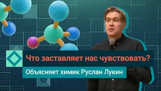 Какие химические вещества делают нашу жизнь красочной? Рассказывает химик Руслан Лукин