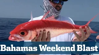 Bahamas Fishing Seminar - Florida Sport Fishing TV - Deep Dropping, Tuna Fishing, Reef Fishing