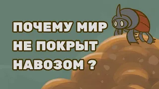 Почему мир не покрыт навозом? | Школус