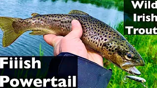 The Fiiish Powertail never seems to fail when spinning for these wild Irish river trout