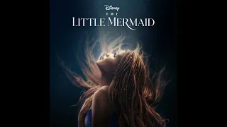 The Little Mermaid - Part Of Your World (Cover)