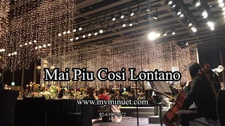 [웨딩연주-마이미뉴엣] 피아노 3중주 | Mai Piu Cosi Lontano | 신랑입장 | 웨스틴 조선호텔