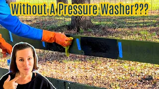 Testing 7 Ways To Get Rid Of Green Algae on Wood Fences Without A Pressure Washer