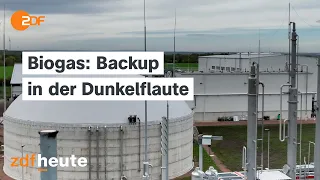 Biogas: Die vernachlässigte Alternative | frontal