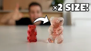 The Gummy Bear Experiment!