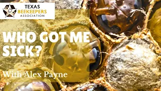 Who Got Me Sick - Pathogen Pathways in a Bee Colony by Alex Payne of the TAMU Honey Bee Lab