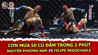 Võ sĩ Brazil tung liên 50 cú đấm lên đối thủ chỉ trong 2 phút | LION Championship 07