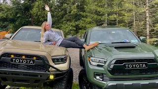 TRD Off-Road vs. TRD Pro: Which Tacoma is Right for You?