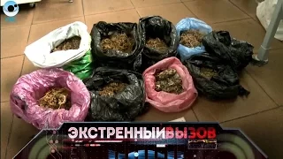 Экстренный вызов: 15 марта 2017