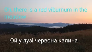 Oh, there is a red viburnum in the meadow  Ой у лузі червона калина