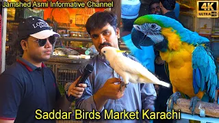 Saddar Unique and Rare Parrots and Exotic Birds Market Karachi | سوق الببغاوات الجميلة والنادرة