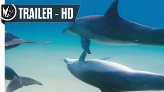 Disneynature's: Dolphins Official Trailer #1 (2017) -- Regal Cinemas [HD]