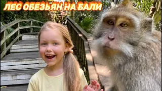 Остров Бали. Лес обезьян (Убуд) // Bali island. Monkey Forest (Ubud)