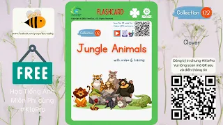 Đọc thẻ Flashcard cho #KlePro | Tập 2: Jungle Animals (link in chung tài liệu bên dưới)