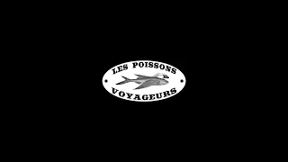 Les Poissons Voyageurs - Si t'es là [Official]