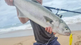 Giant Durban Shad Had Me Fooled For a Garrick!!!