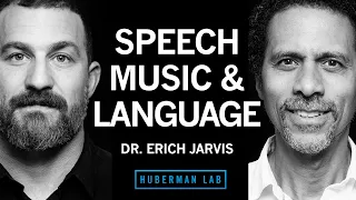 Dr. Erich Jarvis: The Neuroscience of Speech, Language & Music | Huberman Lab Podcast #87