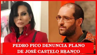 Pressionado, Pedro Pico denuncia plano de José Castelo Branco para enganar Betty Grafstein