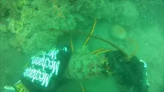 Ventura Area Reef, Scuba for Lobster