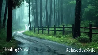 Rain in the forest path（3）, sleep, relax, meditate, study, work, ASMR/Healing Now - Relaxed ASMR