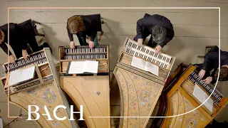 Bach - First movement from Concerto in A minor BWV 1065 | Netherlands Bach Society